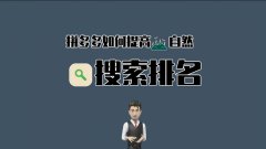 710公海拼多多代运营解析拼多多自然搜索排名规则!
